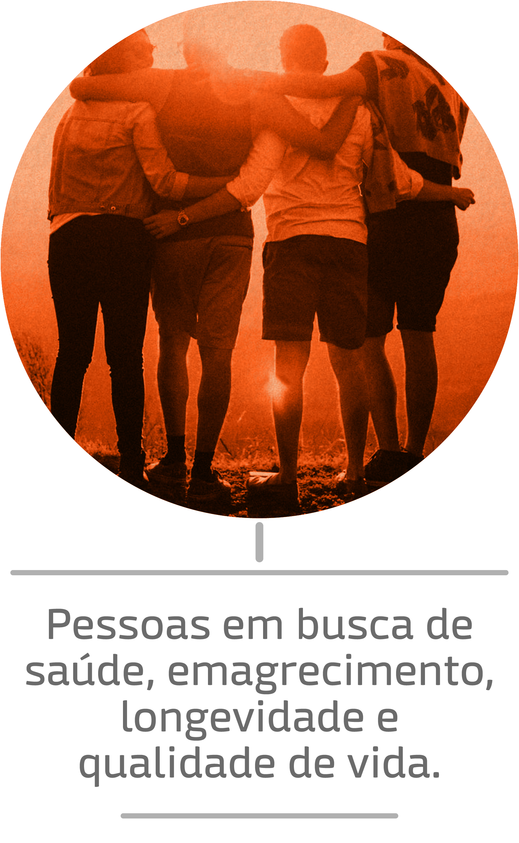TF2019_Img7